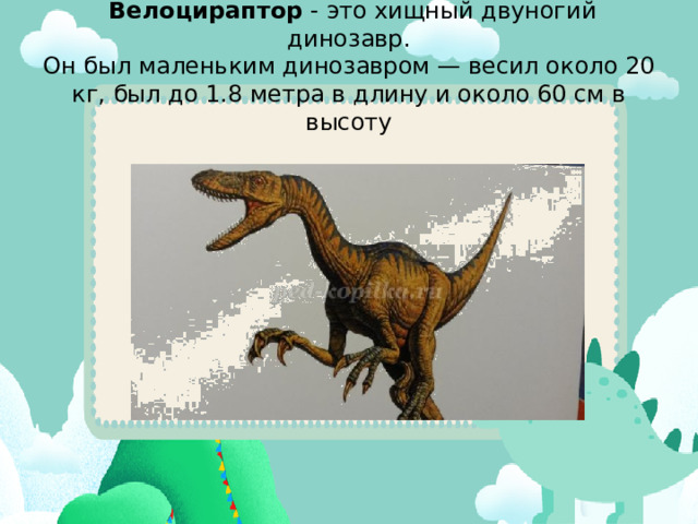   Велоцираптор  - это хищный двуногий динозавр.  Он был маленьким динозавром — весил около 20 кг, был до 1.8 метра в длину и около 60 см в высоту