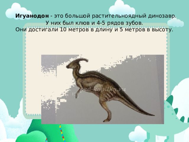   Игуанодон  - это большой растительноядный динозавр.  У них был клюв и 4-5 рядов зубов.  Они достигали 10 метров в длину и 5 метров в высоту.