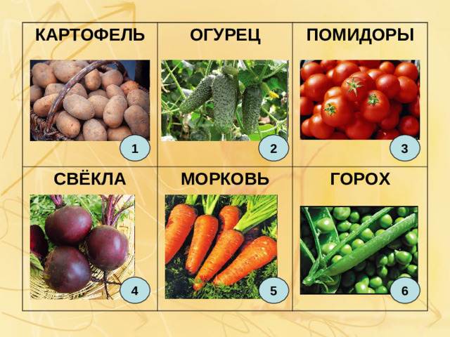 КАРТОФЕЛЬ СВЁКЛА ОГУРЕЦ ПОМИДОРЫ МОРКОВЬ ГОРОХ 1 3 2 4 5 6