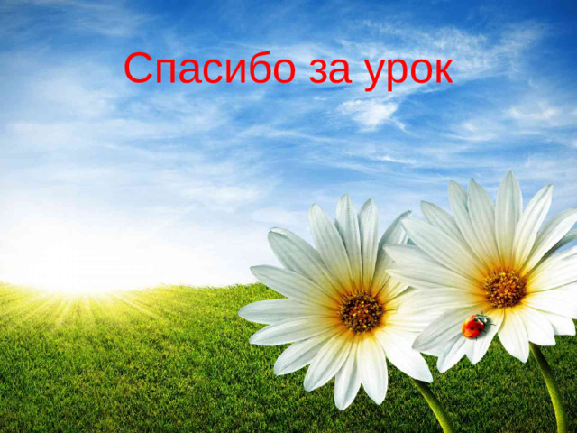 Спасибо за урок