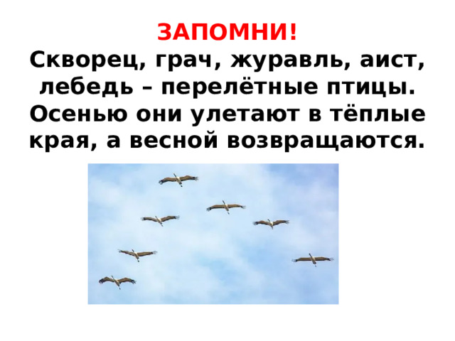 ЗАПОМНИ!  Скворец, грач, журавль, аист, лебедь – перелётные птицы. Осенью они улетают в тёплые края, а весной возвращаются.