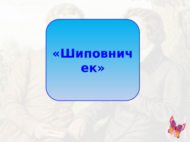 «Шиповничек»