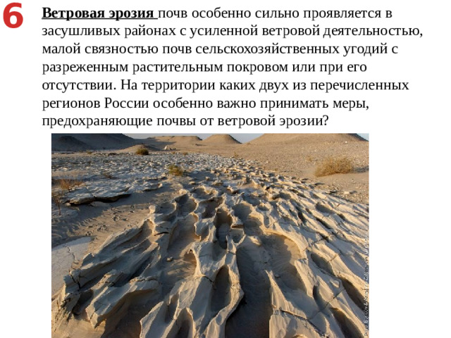 6 Ветровая эрозия почв особенно сильно проявляется в засушливых районах с усиленной ветровой деятельностью, малой связностью почв сельскохозяйственных угодий с разреженным растительным покровом или при его отсутствии. На территории каких двух из перечисленных регионов России особенно важно принимать меры, предохраняющие почвы от ветровой эрозии? Республика Калмыкия   2) Псковская область   3) Вологодская область   4) Республика Коми   5) Оренбургская область Безлесье