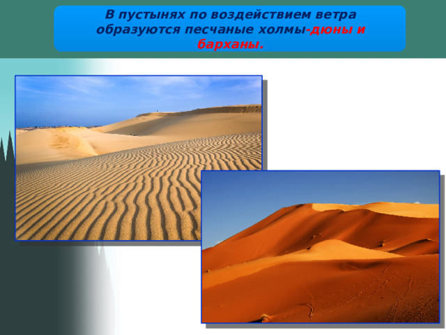 В пустынях по воздействием ветра образуются песчаные холмы -дюны и барханы.