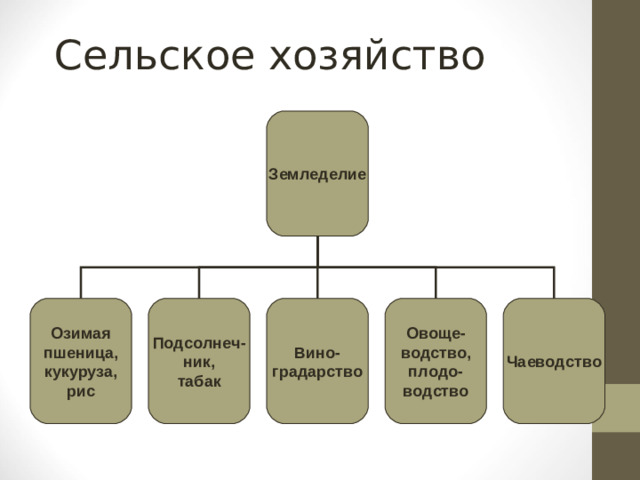 Сельское хозяйство Земледелие Озимая пшеница, кукуруза, рис Подсолнеч- ник, табак Вино- градарство Овоще- водство, плодо- водство Чаеводство