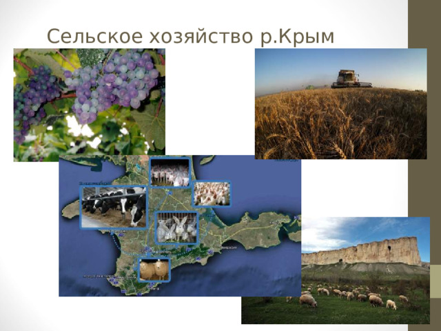 Сельское хозяйство р.Крым