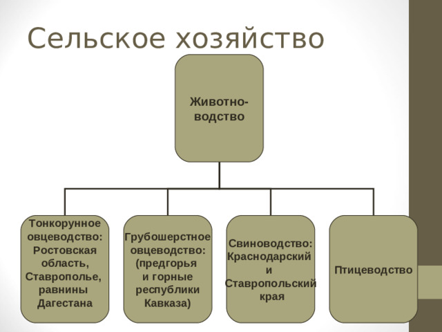 Сельское хозяйство Животно- водство Тонкорунное овцеводство: Ростовская  область, Ставрополье, равнины Дагестана  Грубошерстное овцеводство: (предгорья и горные республики Кавказа) Свиноводство: Краснодарский и Ставропольский  края Птицеводство
