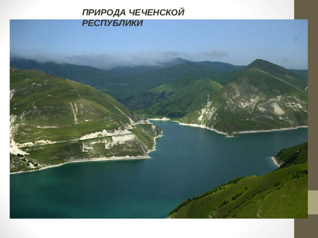ПРИРОДА ЧЕЧЕНСКОЙ РЕСПУБЛИКИ