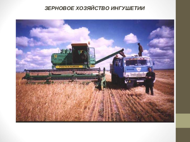 ЗЕРНОВОЕ ХОЗЯЙСТВО ИНГУШЕТИИ