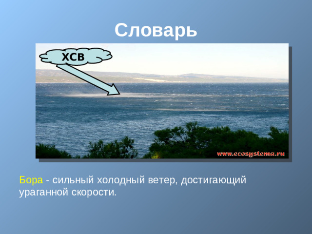Словарь ХСВ Бора - сильный холодный ветер, достигающий ураганной скорости.