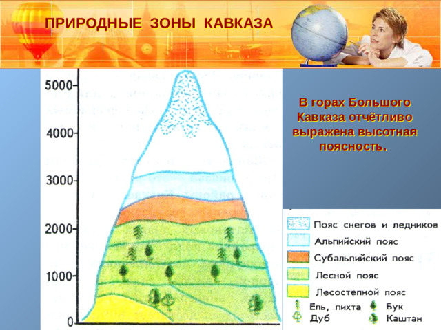 ПРИРОДНЫЕ ЗОНЫ КАВКАЗА В горах Большого Кавказа отчётливо выражена высотная поясность.