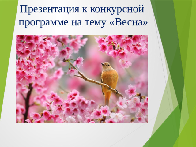 Презентация к конкурсной  программе на тему «Весна»