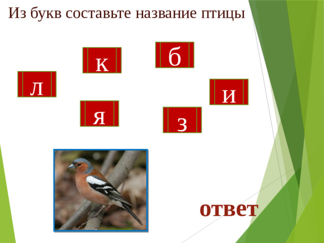 Из букв составьте название птицы б к л и я з ответ