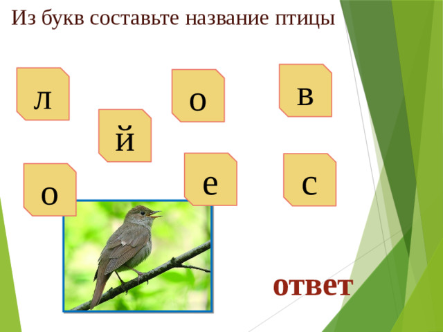 Из букв составьте название птицы в л о й е с о ответ