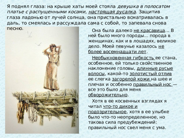 Я поднял глаза: на крыше хаты моей стояла девушка в полосатом платье с распущенными косами, настоящая русалка . Защитив глаза ладонью от лучей солнца, она пристально всматривалась в даль, то смеялась и рассуждала сама с собой, то запевала снова песню. Она была далеко не красавица ... В ней было много породы... порода в женщинах, как и в лошадях, великое дело. Моей певунье казалось не более восемнадцати лет . Необыкновенная гибкость ее стана, особенное, ей только свойственное наклонение головы, длинные русые волосы , какой-то золотистый отлив ее слегка загорелой кожи на шее и плечах и особенно правильный нос — все это было для меня обворожительно . Хотя в ее косвенных взглядах я читал что-то дикое и подозрительное , хотя в ее улыбке было что-то неопределенное, но такова сила предубеждений: правильный нос свел меня с ума.