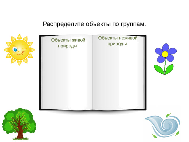 Распределите объекты по группам. Объекты неживой природы Объекты живой природы