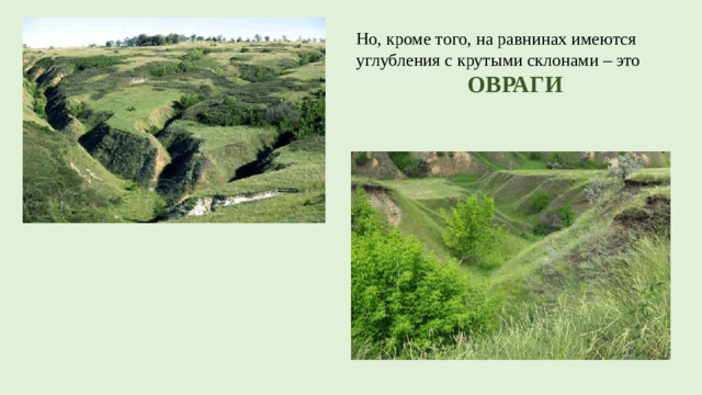 Но, кроме того, на равнинах имеются углубления с крутыми склонами – это ОВРАГИ
