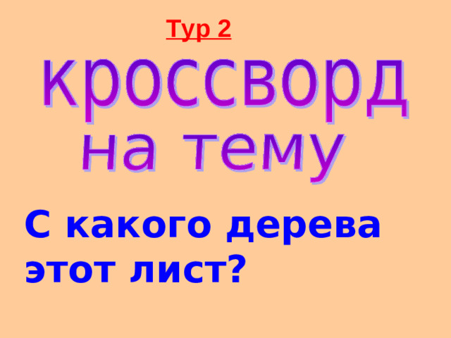 Тур 2 С какого дерева этот лист?