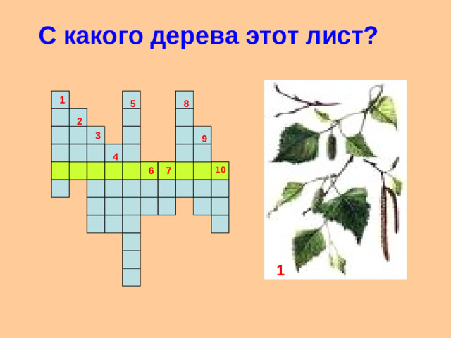 С какого дерева этот лист? 1 5 8 2 3 9 4 7 6 10 1