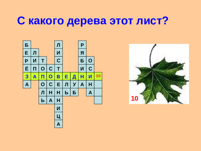 С какого дерева этот лист? Р Л Б  Л Я И Е Б Т С О И Р И Т С Ё О С П П В Н О Д Е А З И 10 Л С А У А Е О Н Н Н Л Б А Ь 10 Ь А Н И Ц А