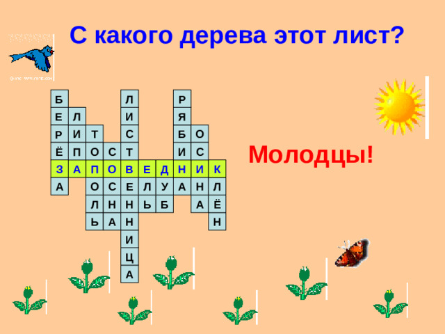 С какого дерева этот лист? Р Л Б  Л Я И Е О Т И Б С Р Молодцы! С Ё О Т П С И И З Е В К Н П О Д А Л А А С Е О Н Л У Ь Б Н А Н Ё Л Н Н Ь А И Ц А