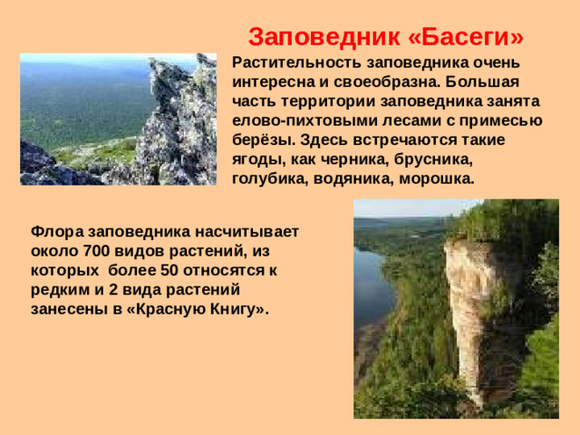 Заповедник «Басеги» Растительность заповедника очень интересна и своеобразна. Большая часть территории заповедника занята елово-пихтовыми лесами с примесью берёзы. Здесь встречаются такие ягоды, как черника, брусника, голубика, водяника, морошка. Флора заповедника насчитывает около 700 видов растений, из которых более 50 относятся к редким и 2 вида растений занесены в «Красную Книгу».