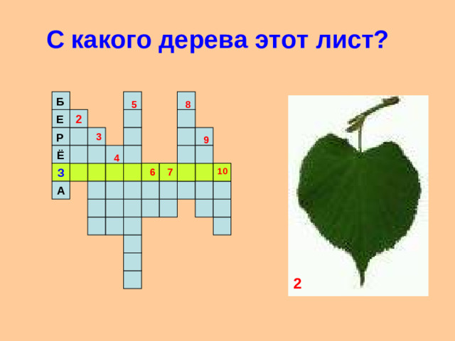 С какого дерева этот лист? Б  8 5 2 Е 3 Р 9 Ё 4 З 10 7 6 А 2