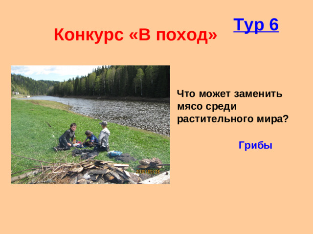 Тур 6 Конкурс «В поход» Что может заменить мясо среди растительного мира? Грибы