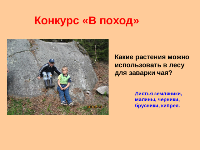 Конкурс «В поход» Какие растения можно использовать в лесу для заварки чая? Листья земляники, малины, черники, брусники, кипрея.