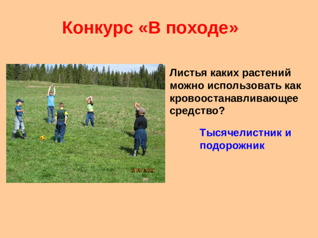 Конкурс «В походе» Листья каких растений можно использовать как кровоостанавливающее средство? Тысячелистник и подорожник