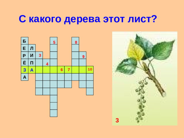 С какого дерева этот лист? Б  8 5 Л Е И 3 Р 9 Ё П 4 А З 10 7 6 А 3
