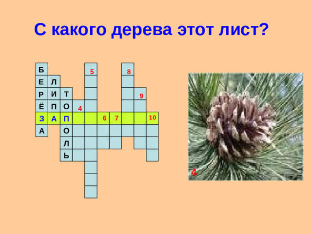 С какого дерева этот лист? Б  8 5 Л Е И Т Р 9 О Ё П 4 П А З 7 10 6 О А Л Ь 4