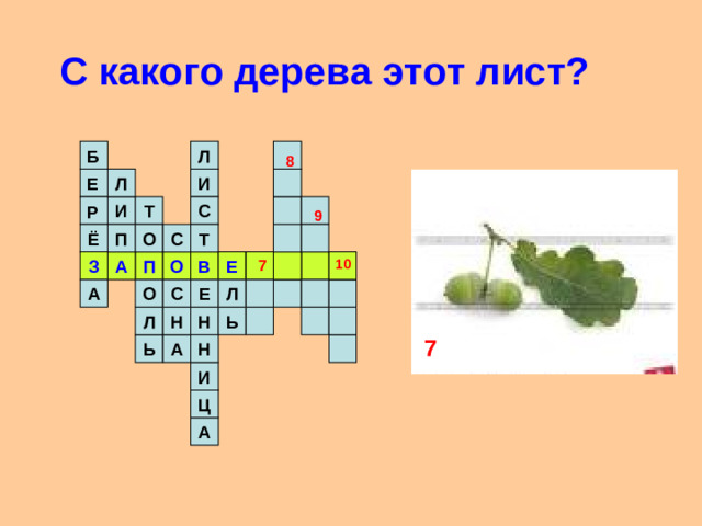 С какого дерева этот лист? Л Б  8 И Л Е Т С И Р 9 О Т Ё П С О В Е П А З 10 7 Л С Е О А Ь Л Н Н 7 Н Ь А И Ц А