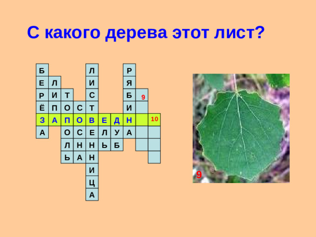 С какого дерева этот лист? Р Л Б  Л Я И Е Б Т С И Р 9 И Т Ё С П О В П Н О Е Д А З 10 А С Л У А Е О Н Н Б Ь Л А Ь Н И 9 Ц А