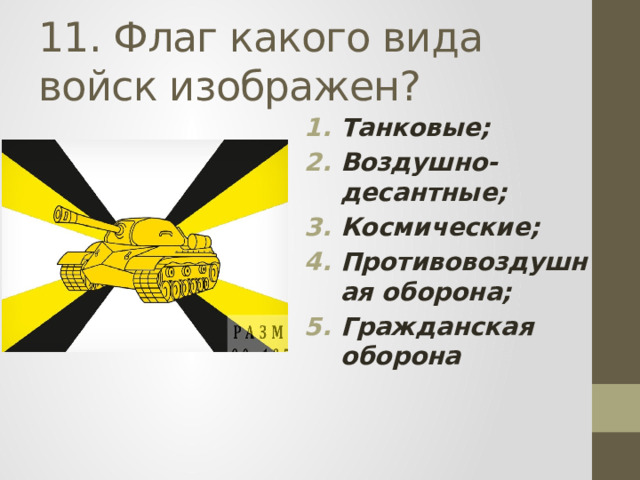 11. Флаг какого вида войск изображен?