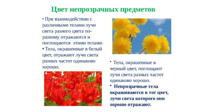 Цвет непрозрачных предметов