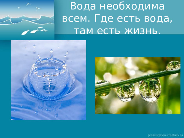 Вода необходима всем. Где есть вода, там есть жизнь.