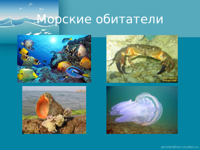 Морские обитатели