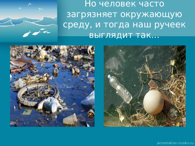 Но человек часто загрязняет окружающую среду, и тогда наш ручеек выглядит так…