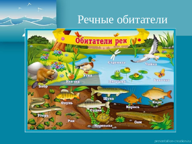 Речные обитатели