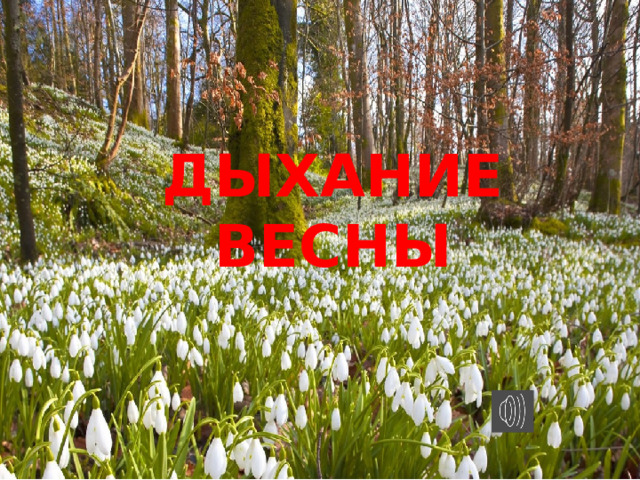 ДЫХАНИЕ ВЕСНЫ