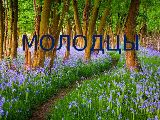 МОЛОДЦЫ