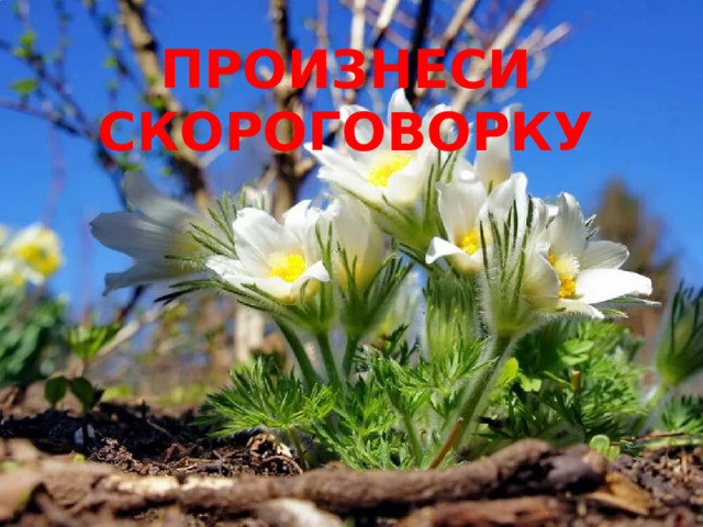 ПРОИЗНЕСИ СКОРОГОВОРКУ