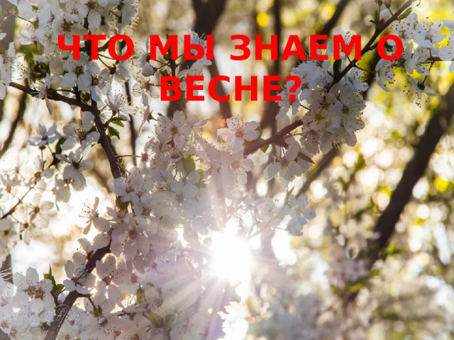 ЧТО МЫ ЗНАЕМ О ВЕСНЕ?