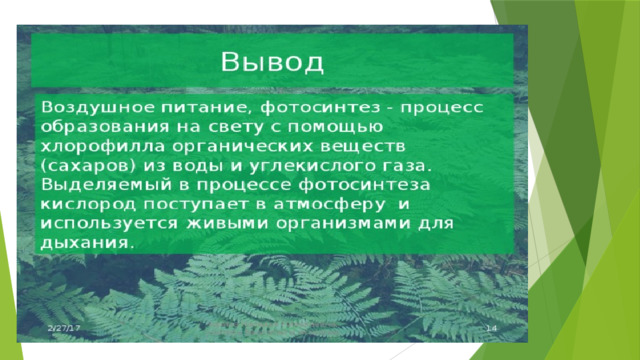 Растения используют 2 типа питания: почвенное и воздушное. Фотосинтез – это процесс образования на свету с помощью хлорофилла органических веществ (сахаров) из воды и углекислого газа. Выделяемый в процессе фотосинтеза кислород поступает в атмосферу и используется живыми организмам