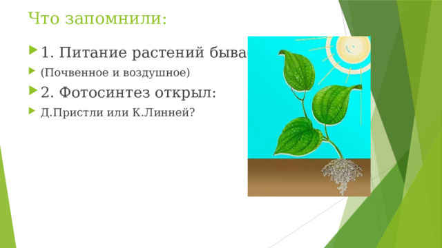 Что запомнили: