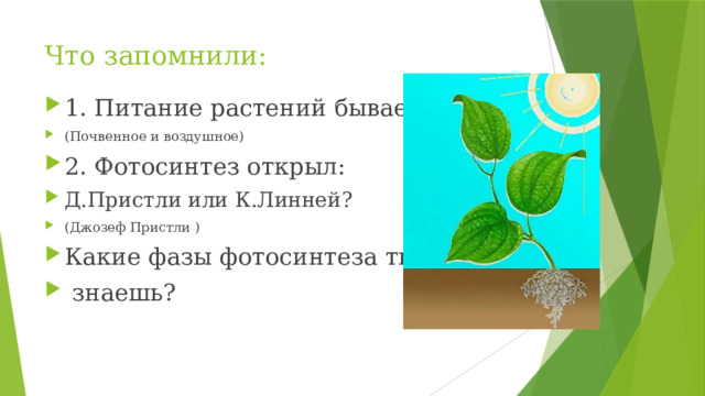 Что запомнили: