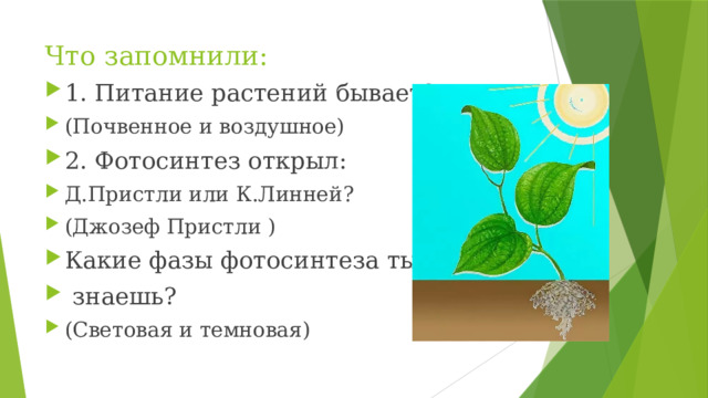 Что запомнили: