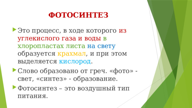 ФОТОСИНТЕЗ