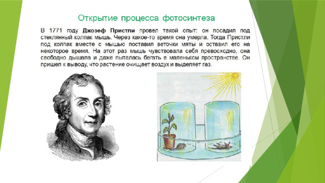 Роберт Майер в 1842 году на основании закона сохранения энергии постулировал, что растения преобразуют энергию солнечного света и энергию химических связей.